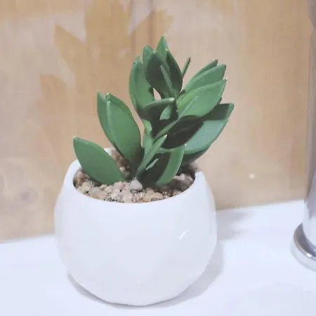 Retiro De Varzeas . Casa De Turismo Rural * 비에이라도미노