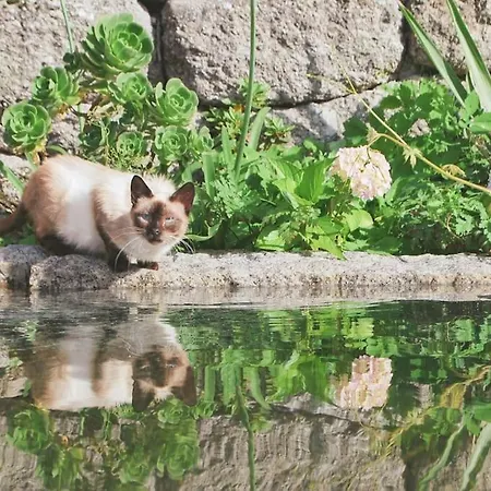 샬레 Retiro De Varzeas . Casa De Turismo Rural