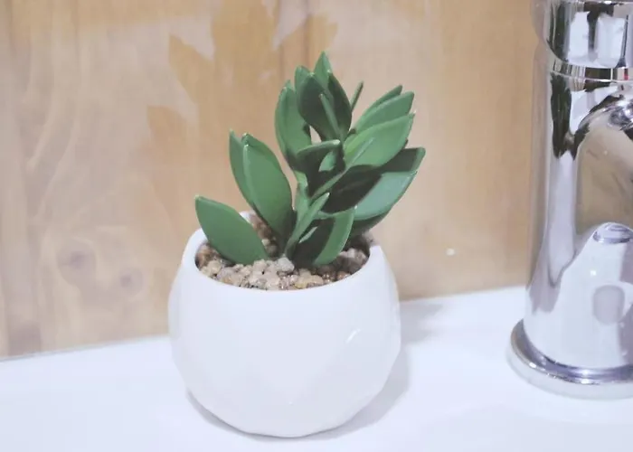 Retiro De Varzeas . Casa De * Vieira do Minho