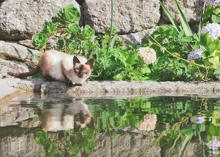 Chalet Retiro De Varzeas . Casa De